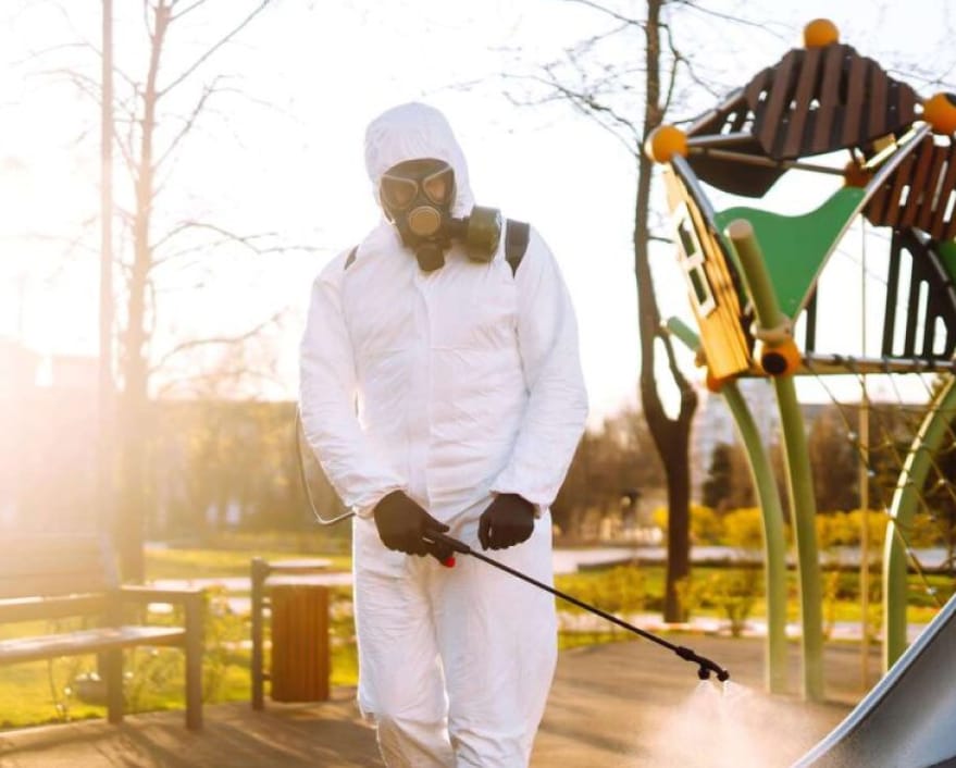 Dératisation dans un restaurant de Toulouse — protection hygiène et sécurité alimentaire