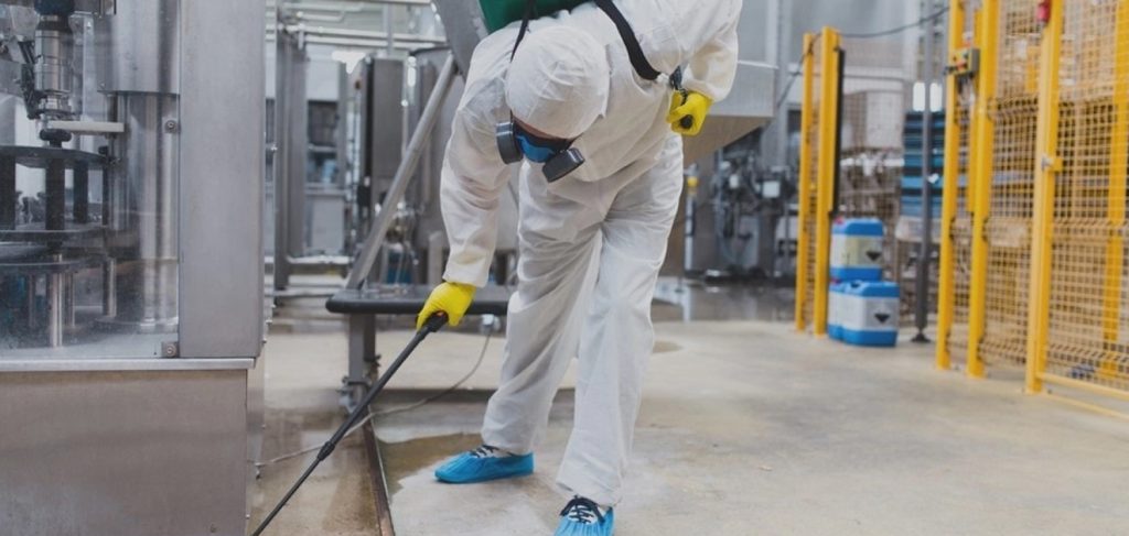 Intervention rapide de désinsectisation à Cugnaux et sud-ouest de Toulouse