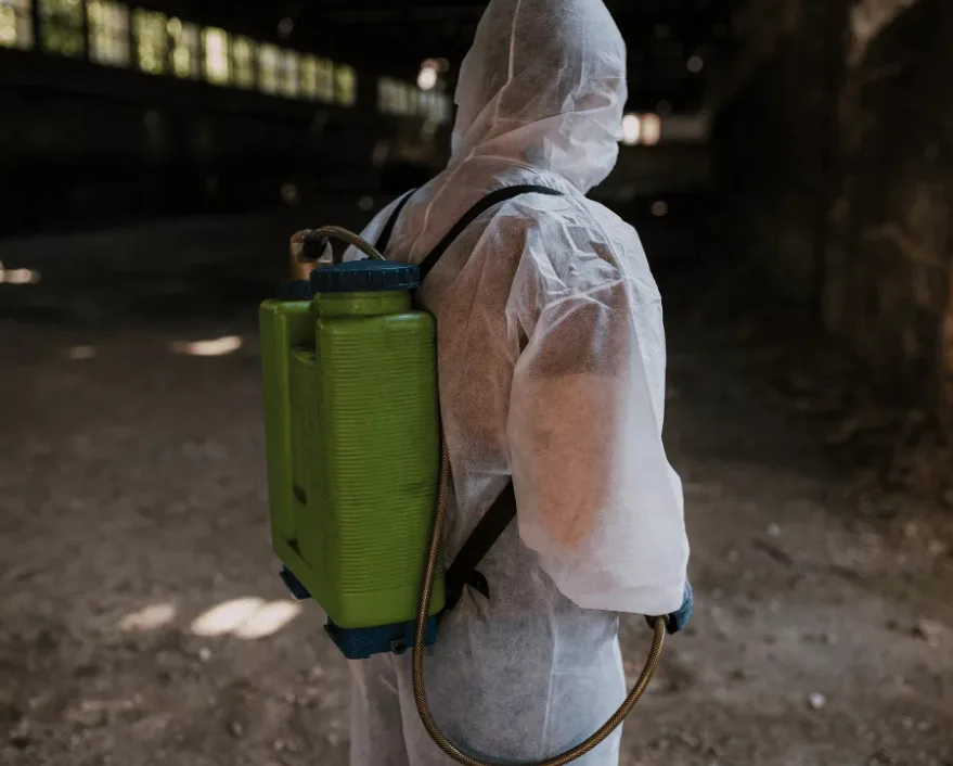 Rat dans une maison à Toulouse — intervention de dératisation pour particuliers