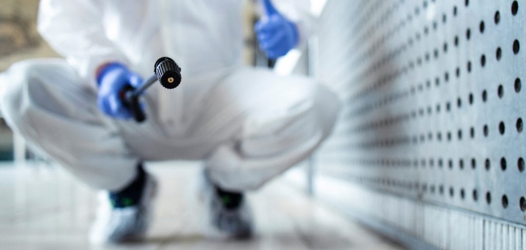 Spécialiste dératisation Cugnaux – protection maison et locaux contre les nuisibles